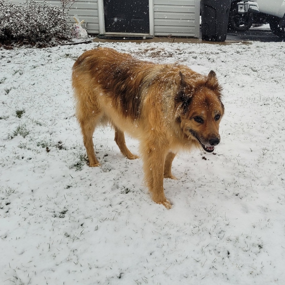 Meet your Posher, Linda